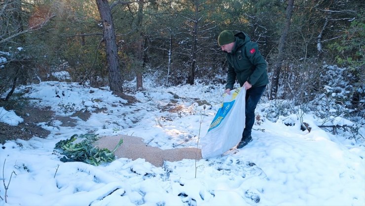 Tekirdağ'da yaban hayvanları için doğaya yem bırakıldı