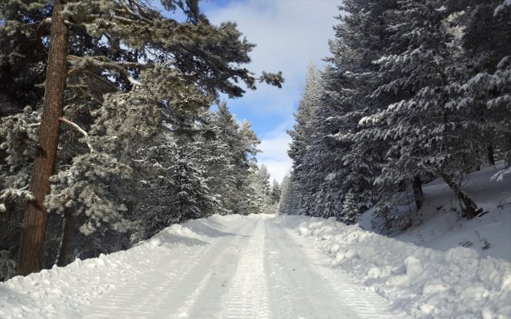 Kar kalınlığının 1,5 metreye ulaştığı Kars'taki köylerde yol açma çalışmaları sürüyor