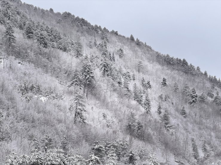 Kastamonu'da ormanlar beyaz örtüyle kaplandı