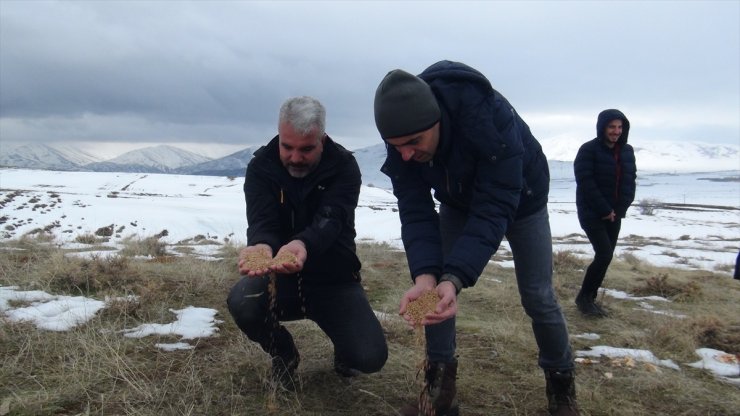 Tatvan'da yaban hayvanları için doğaya yem bırakıldı