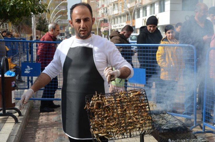 Mardin'de hamsi festivali düzenlendi