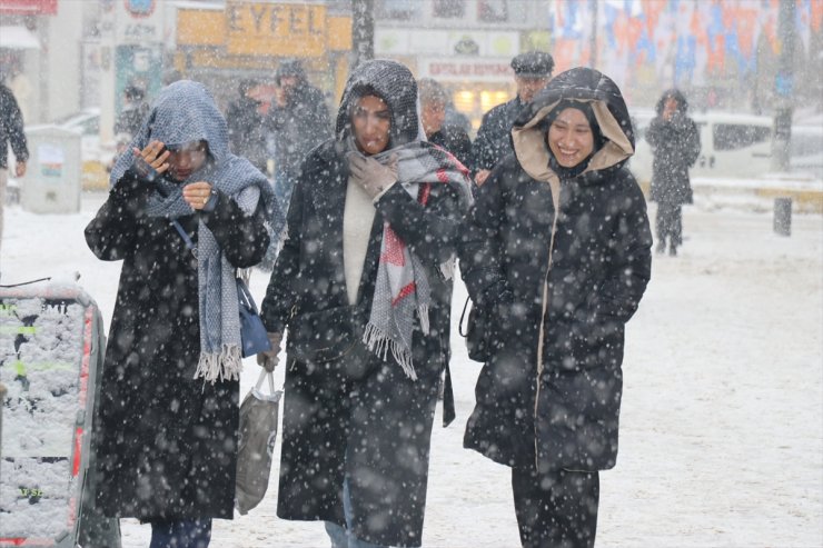 Erzurum, Ağrı ve Kars'ta kar yağışı etkili oluyor