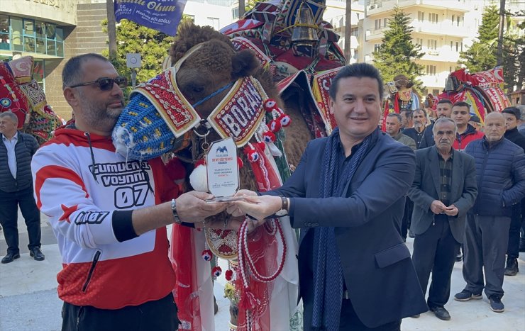 Antalya'da "en süslü deve" yarışması düzenlendi