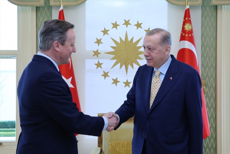 Cumhurbaşkanı Erdoğan, İngiltere Dışişleri Bakanı Cameron'ı kabul etti