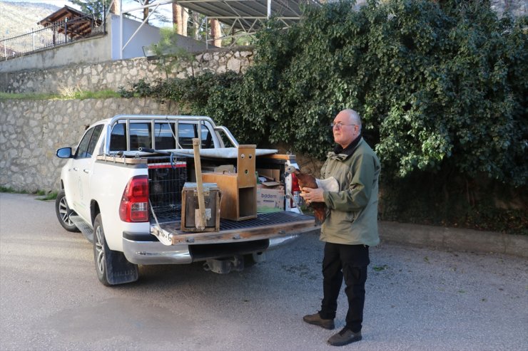 Amasya'da evinde 9 yaban hayvanı bulunan kişi hakkında adli işlem başlatıldı