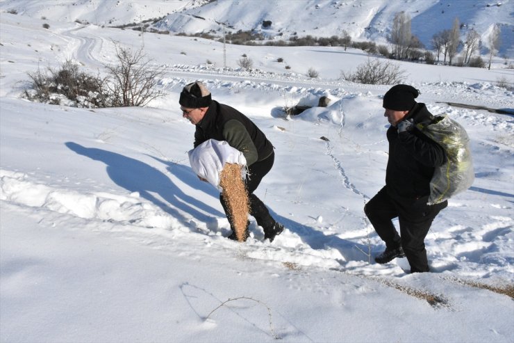 Yaban hayvanlarının aç kalmaması için dondurucu soğukta karlı arazileri aşıyorlar