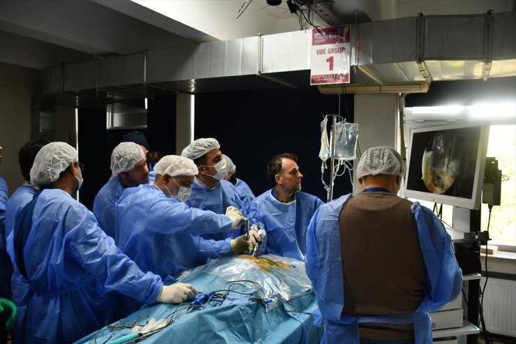 Bursa'da 23 ülkeden hekimler kadavra kursunda endoskopik omurga cerrahisini öğrendi