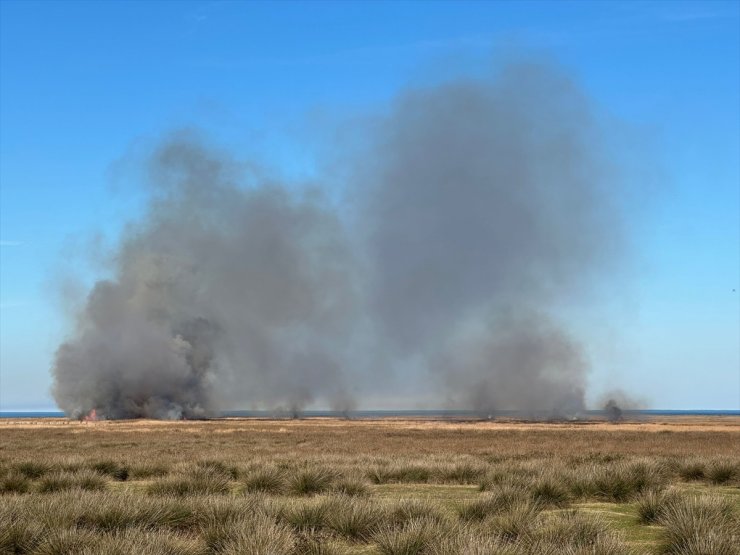Kızılırmak Deltası Kuş Cenneti'nde sazlık alandaki yangına müdahale ediyor