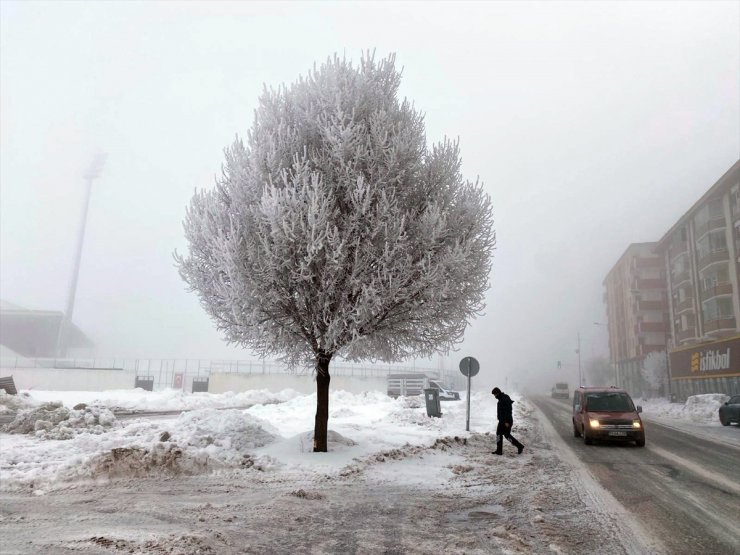 Erzurum ve Ardahan'da 15 yerleşim yerine ulaşım sağlanamıyor