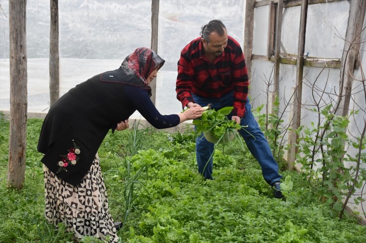 Eşinin sağlığına kavuşması için böbreğini verdi