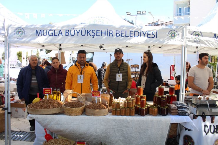 Muğla'da Datça Badem Çiçeği Festivali başladı