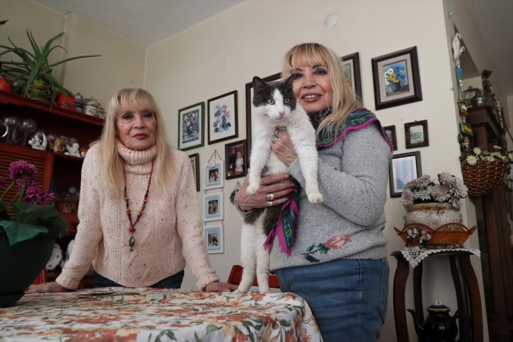 Bir dönemin ünlü şarkıcı ikizleri Meral ve Zühal kardeşler Moda'da 150 kediye bakıyor