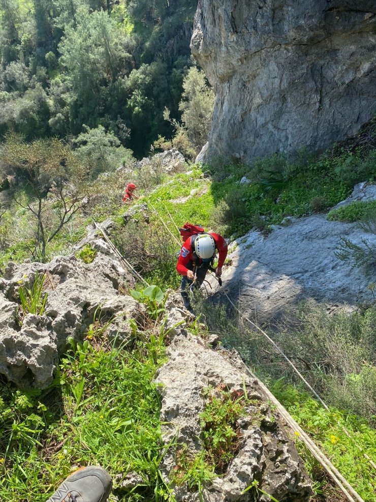 Fethiye'de kayalıklarda mahsur kalan keçi ile yavrusu kurtarıldı