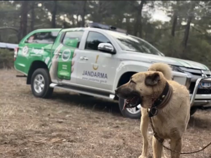 Burdur'da köpek dövüştüren 22 kişiye, 142 bin 868 lira idari para cezası verildi