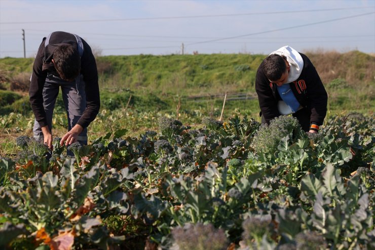 Çöplüktü meslek liselilerin eliyle bostana dönüştü