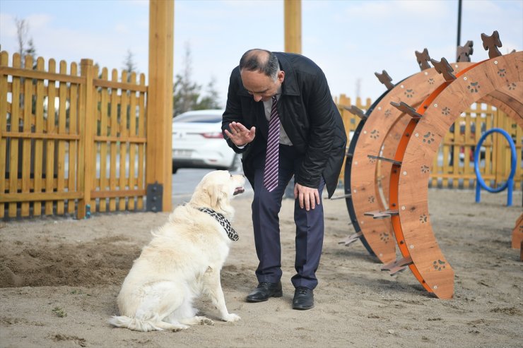 Meksika'nın arama kurtarma köpeği "Proteo"nun adı Kayseri'de yaşatılacak