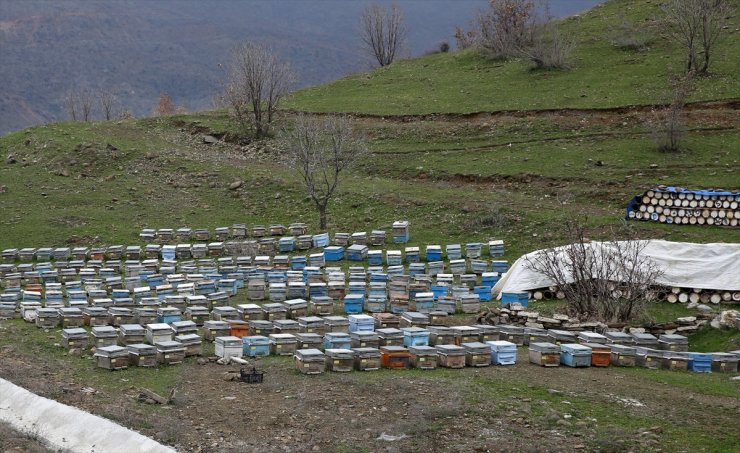 Bitlis balı, Paris'teki yarışmada "Altın Bal" ödülü aldı