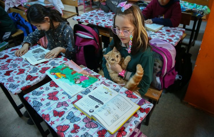 "Fıstık" isimli kedi, İzmir'deki kitap okuma projesinin maskotu oldu