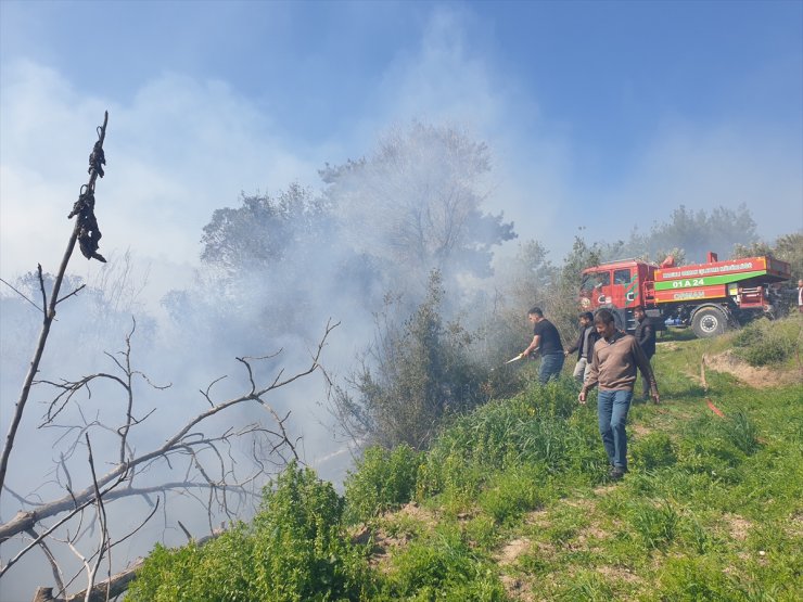 Osmaniye'de orman yangınında 5 dekarlık alan zarar gördü