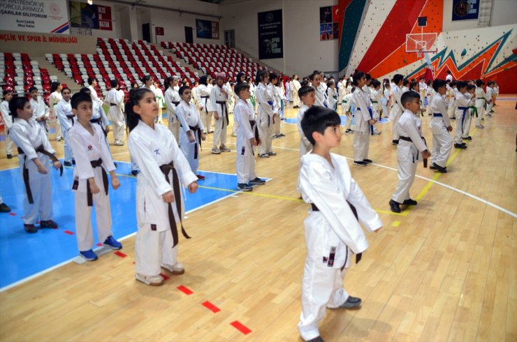 Muş'ta 250 çocuğun "Karate Kuşak Terfi Töreni" düzenlendi