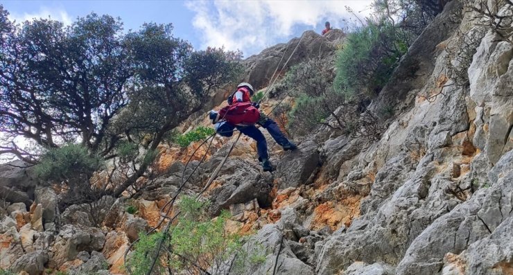 Marmaris'te kayalıklarda mahsur kalan keçi kurtarıldı