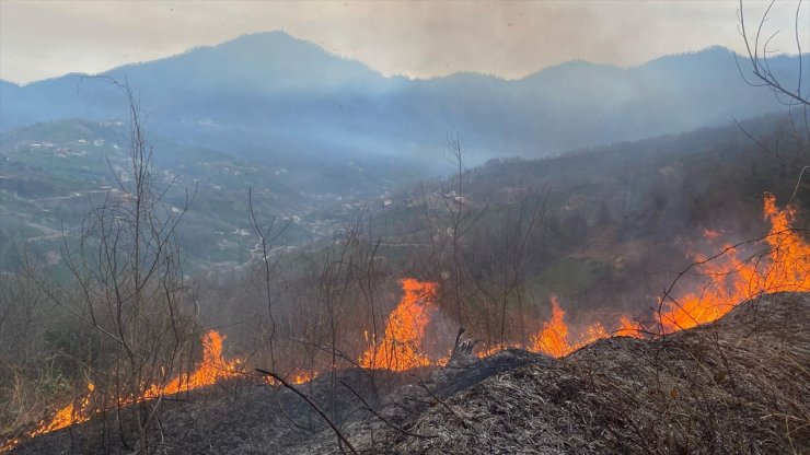 Artvin'de orman yangınında 1 hektar alan zarar gördü