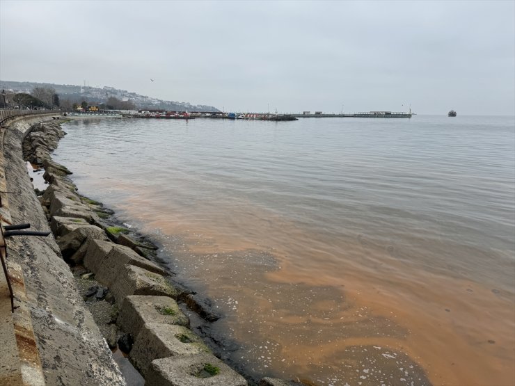 Tekirdağ balıkçı barınağında planktonlar denizin rengini turuncuya çevirdi