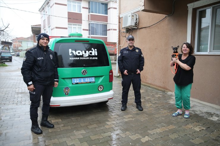 Edirne'de bir hayvanseverin köpeği "Ali Nazik", güvenlik kameraları incelenerek bulundu