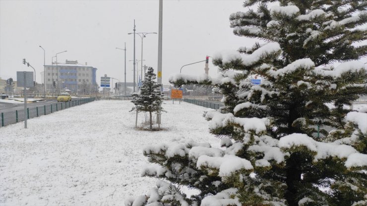 Erzurum, Ağrı, Kars ve Ardahan martta yeniden karla kaplandı