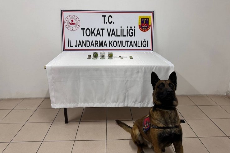 Tokat'ta tarihi eser operasyonunda 8 kişi gözaltına alındı