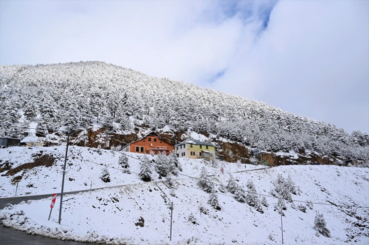 Zigana Dağı'nda kar ve sis etkili oldu