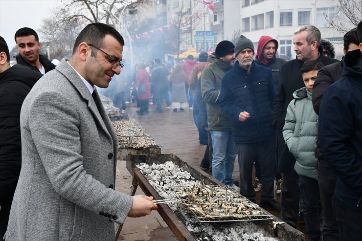 Düzce'de düzenlenen festivalde 3,5 ton hamsi dağıtıldı