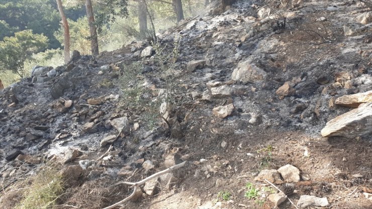 Balıkesir'de Kazdağları eteklerinde çıkan orman yangını söndürüldü