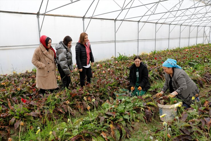 Samsun'da kadın ziraat mühendislerinden kadın çiftçilere destek