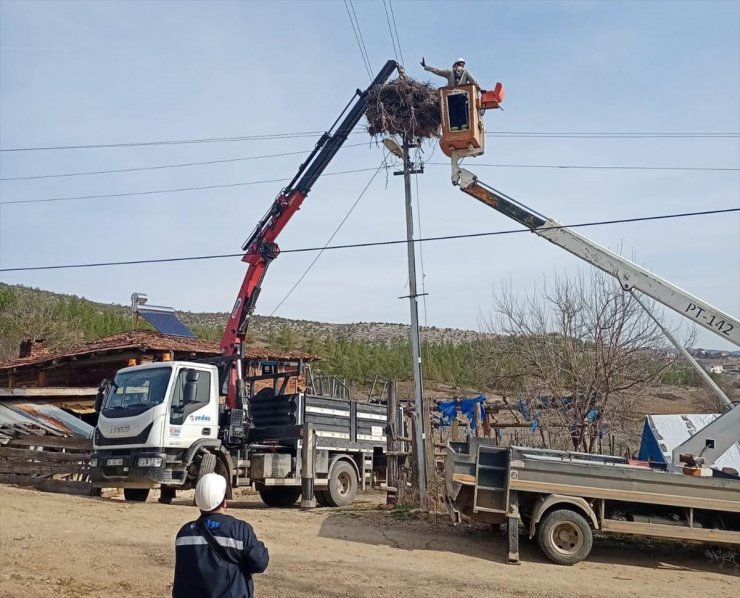 Sinop'ta leylekler için elektrik direklerine yapay yuvalar yerleştirildi