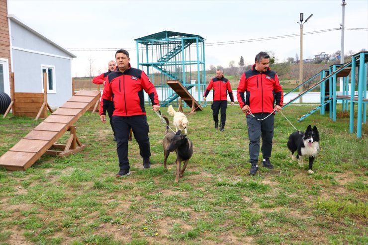 Tekirdağ'da arama kurtarma köpekleri "Paşa", "Badi" ve "Diva" olası afetlere hazırlanıyor