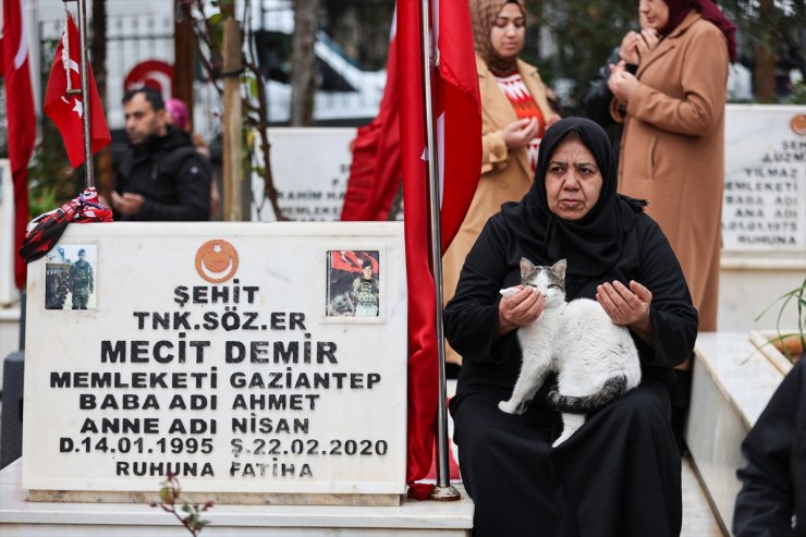 Şehitlikten ayrılmayan kedi, ailelerin teselli kaynağı oldu