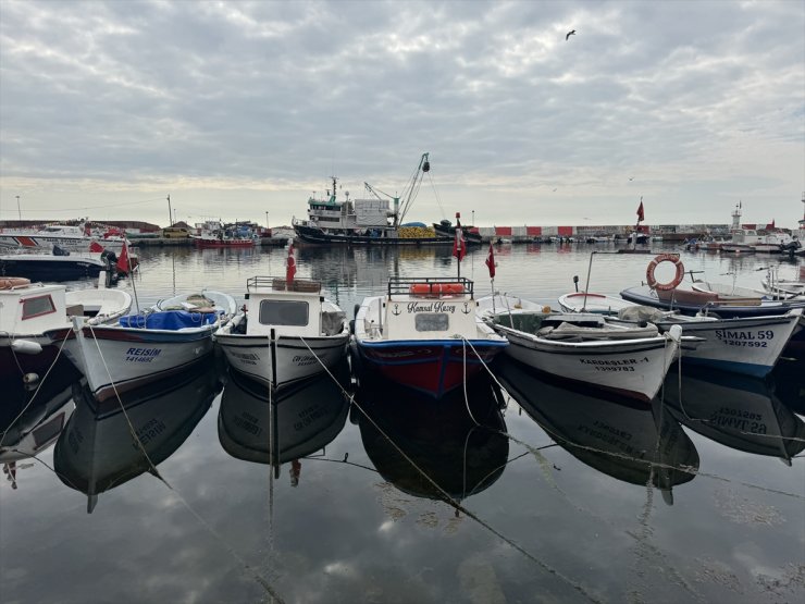 Tekirdağ'da ramazan ayında balığa talep arttı