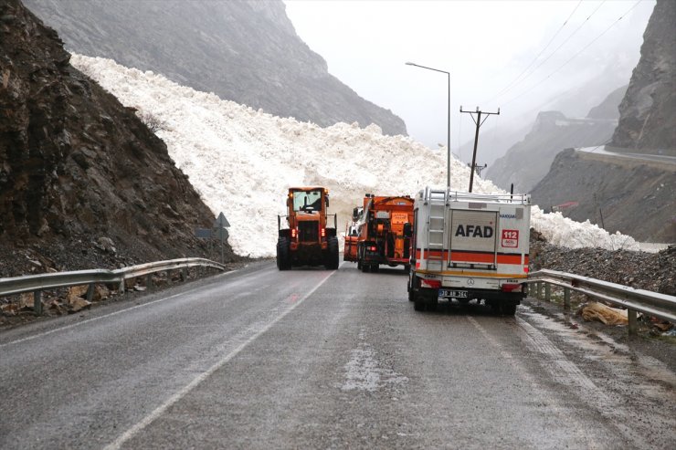 Hakkari-Çukurca kara yolu çığ nedeniyle kapandı