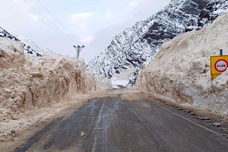 Çığ nedeniyle kapanan Van-Çatak kara yolu açıldı