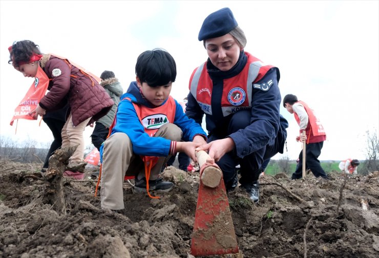 Kırklareli'nin il oluşunun 100. yıl dönümü dolayısıyla hatıra ormanı oluşturuldu