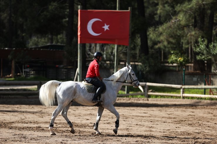 Milyon dolarlık atlar engel atlama yarışlarına "at oteli"nde hazırlanıyor