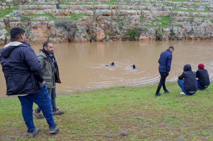 Şanlıurfa'da dereyi geçerken yükselen suya kapılan çocuğu arama çalışmaları sürüyor