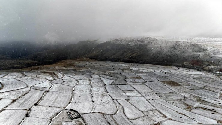 Erzurum, Ardahan ve Kars'ta kar yağışı etkili oluyor