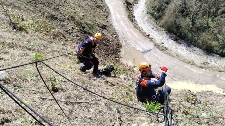 Giresun'da uçurumdan düşerek mahsur kalan köpek kurtarıldı