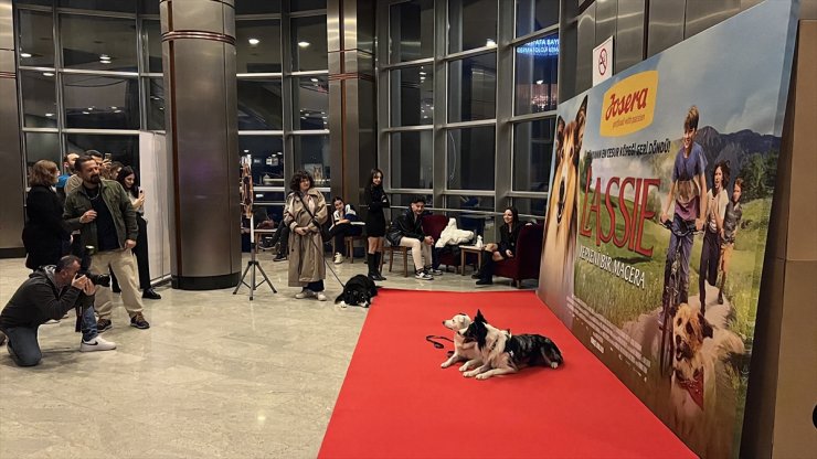 "Lassie: Yepyeni Bir Macera" filminin Türkiye galası CKM'de yapıldı