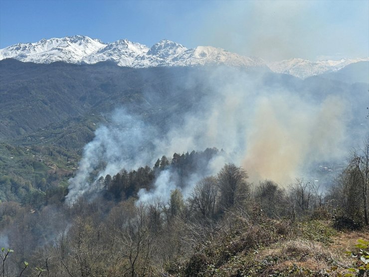 Artvin'de çıkan orman yangını kontrol altına alındı