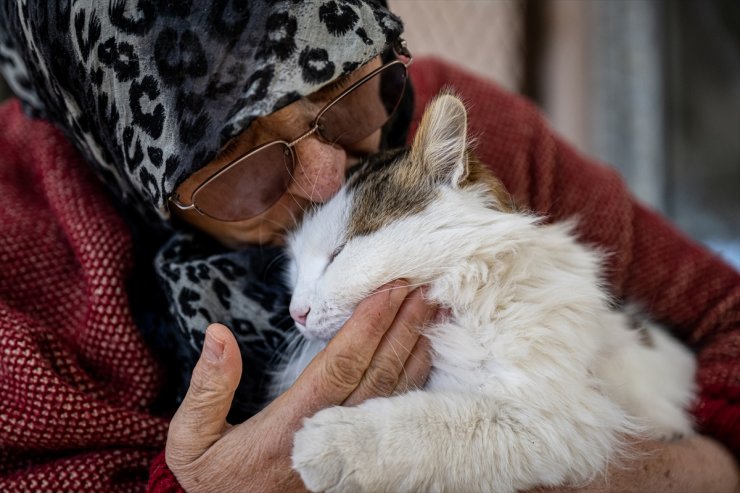 Müstakil evinin bir katını sokak kedilerine yuva yaptı