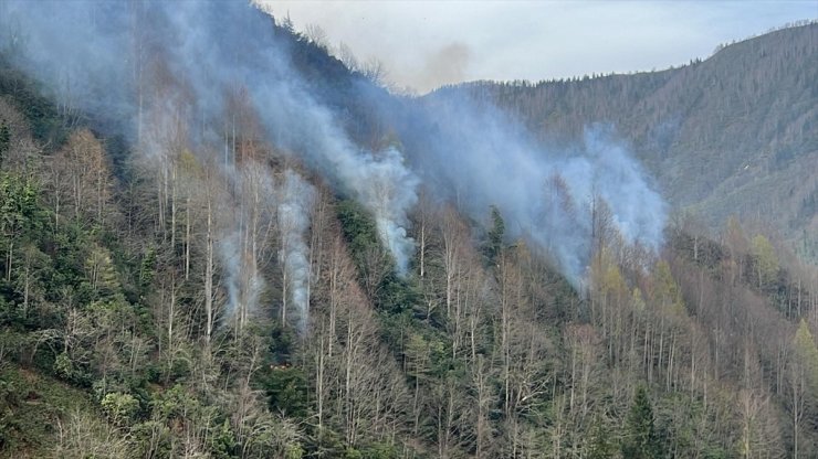 Rize'de çıkan örtü yangınına müdahale ediliyor