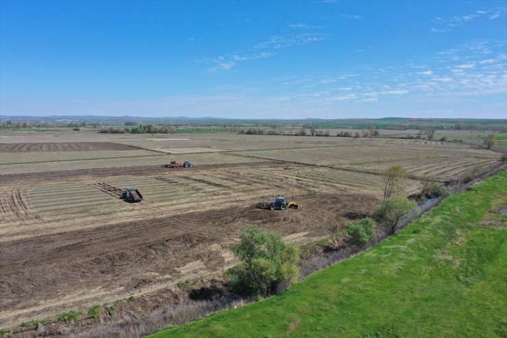 Çeltik üretiminde lider Edirne'de çiftçiler tarlaları ekime hazırlıyor